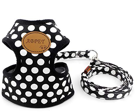 SMALLLEE_LUCKY_STORE Hundegeschirr mit Leine und weicher Nylon-Netzweste für kleine Haustiere, Katzen-/Hundegeschirr