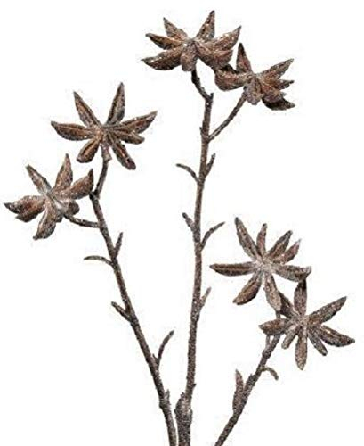 creativ home Künstlicher STERNANIS 41 cm. Sternannis Dekozweig in BRAUN