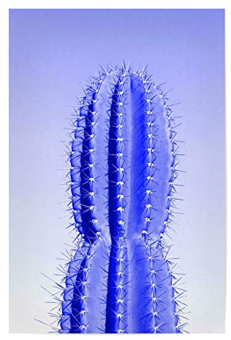 artboxONE Poster 75x50 cm Reise/Afrika Stacheliger Kaktus blau hochwertiger Design Kunstdruck - Bild Kaktus