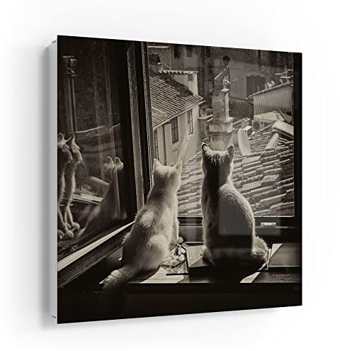 DEQORI Schlüsselkasten weiß | 30x30 cm | Motiv Katzen auf Fensterbrett | Glas & Metall Schlüssel-Box | Schlüsselschrank mit 50 Haken + 2 Magnete | Moderne Design Box magnetisch & beschreibbar