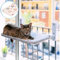 Amaca gatto finestra grigia letto + coperta (30 x 45)