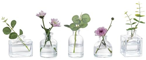 Glasseam Kleine Vase Glas für Home: 5 Stück Vasen Klein Lovely Klar Mini Glasvasen für Küche Wohnzimmer Office Regal Hochzeit Party Tisch Deko