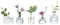 Glasseam Kleine Vase Glas für Home: 5 Stück Vasen Klein Lovely Klar Mini Glasvasen für Küche Wohnzimmer Office Regal Hochzeit Party Tisch Deko