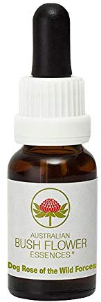 Dog Rose of The Wild Forces 15 ml Stockbottle Australian Bush Flower Essences