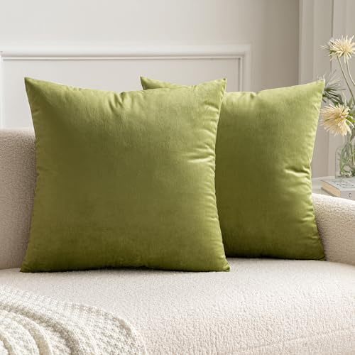MIULEE 2er Set Kissenbezug 50x50 cm samtkissen couchkissen Hellgrün | Kissenhülle Dekorative Dekokissen Sofakissen Wurfkissenbezug mit Verstecktem Reißverschluss Sofa Schlafzimmer