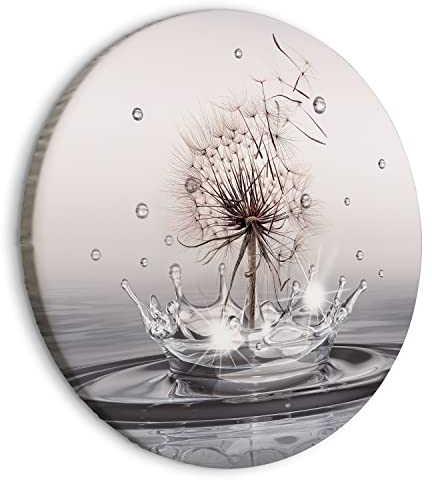 B&D XXL - runde Bilder Pusteblume 60x60 cm Leinwandbild 1 tlg Kunstdruck modern Wandbilder XXL Wanddekoration Design Wand Bild Natur Wassertropfen Blumen Löwenzahn b-C-10195-bc-a