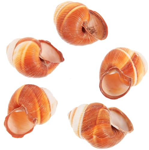 Mobestech Lot de 5 Coquilles d'Escargots Naturelles en Bois Massif 4-5 CM pour Cuisson au Four et Restaurant Isolation Thermique Compatibles Micro-Ondes et Lave-Vaisselle