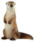 Bullyland 64462 - Spielfigur Otter, ca. 5 cm große Tierfigur, detailgetreu, PVC-frei, ideal als kleines Geschenk für Kinder ab 3 Jahren