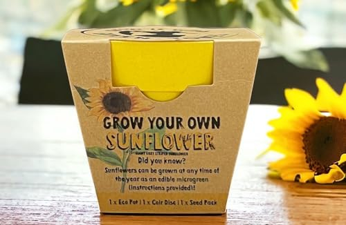 Grow Your Own Sunflower Seed Kit - Christmas Gardening Gift - Stocking Filler for Gardeners - Kid Children's Educational Forest School Activity - Reusable Eco Pot (8cm) & Extra Seeds