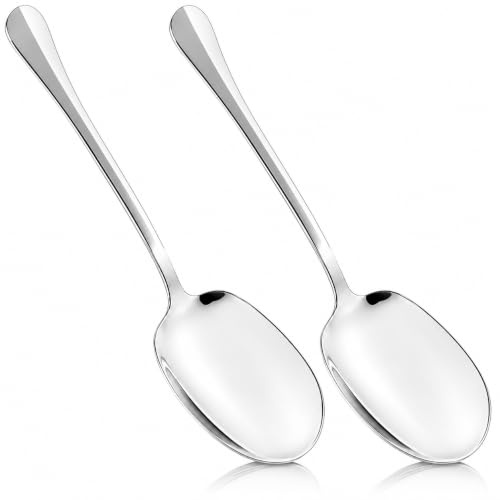 2 PCS Cuillères de Service en Acier Inoxydable - Grandes Cuillères de Service avec Longues Poignées, Cuillères à Salade, Cuillère à Soupe pour Banquet et Restaurant, 20,5 x 6 cm