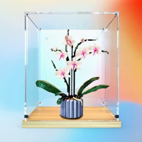 Vitrine en acrylique transparent pour Lego 10311 Orchidée, blocs de construction, objets de collection, vitrine de rangement, présentoir pour (étui uniquement)