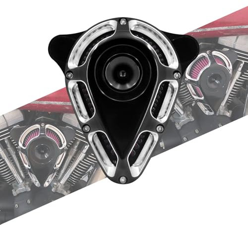 HCmotorku Filtro aria per moto, filtro dell'aria adatto per Harley Touring filtro aria 2000-2007 Softail 2000-2015 Filtro aria Dyna 2000-2016 2017 Nero Moto