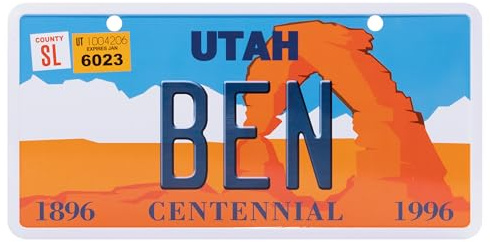 USA Staatskennzeichen mit Namen. Namensschild aus Aluminium. Wandschild, Tafel, Türschild. US-Kennzeichen. Schild mit Saugnäpfen. (BEN)