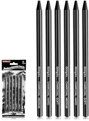 JYSNOW Crayons Fusain Set, 6 Pièces, Charbon de Croquis Noir | Crayons Graphite Noirs Sans Bois (2 Soft+2 Medium+2 Hard) Pour les Cours D’art, les Exercices et la Préparation aux Examens