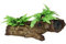 Rosewood Mopani Wood with Silk Plants Aquarium Decor, Large