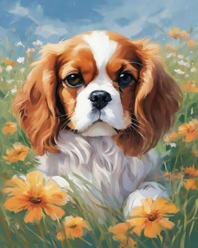 ZMHZMY Kit de peinture par numéros,Cavalier King Charles Spaniel et fleurs,Peinture par numéros DIY Peinture à l'huile sur toile Décoration murale 40x50 cm sans cadre