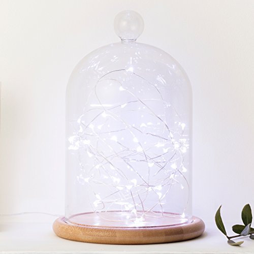 Lights4fun Set of 2 Indoor Fairy String Lights with 50 White Micro LEDs on Silver Wire Battery Operated 4.95m