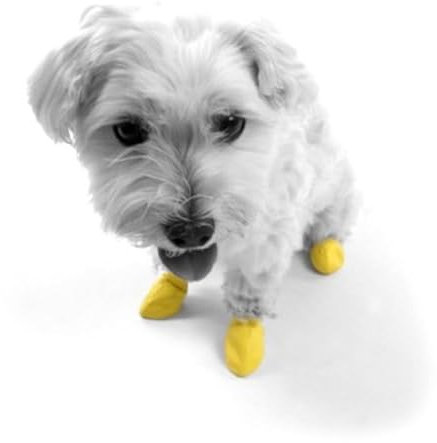 Ortocanis Hundeschuhe Pawz (Gummi) - Schutz, Traktionskontrolle, Irritationen, Wunden - Größe M
