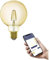 EGLO connect.z Ampoule LED E27 connectée, G95, ZigBee, contrôlable par appli et commande vocale, dimmable, blanc chaud, 500 lumens, 5,5 watts, ambré, design vintage