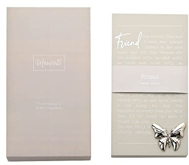 Friend Sentimental Moments Message Plaque Freestanding Or Hanging Gift MO115 MO115