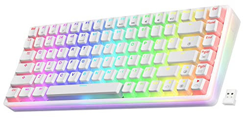 LTC Neon75 Wireless 75% Triple Mode BT5.0/2.4G/USB-C Hot Swappable Mechanical Keyboard, 84 Keys Bluetooth RGB Compact Gaming Keyboard with Software (Hot Swappable Red Switch, White)