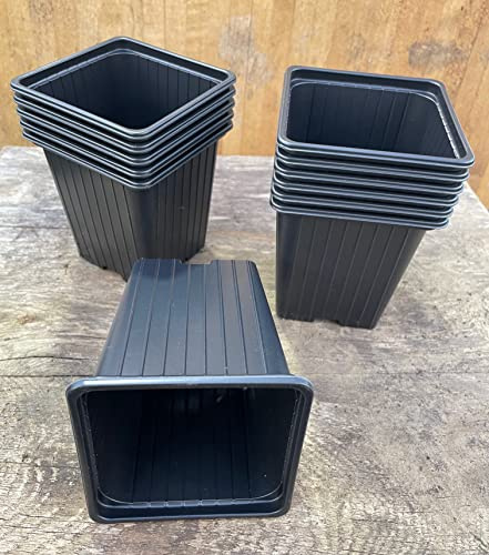 Professional Growers Plant Pot Set - 'Soparco' Square 9cm Pots in Black (9 x 9 x 9.5cm) - Premium Quality Pots (9 Pots)