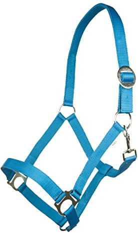 HKM 4000315715855 Halfter -Stars Economy Softice-6700 Kornblauvollblut