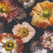 QIDUHUQI20 Servietten Vintage Blüten auf Schwarz | Blumen | Tischdeko 33x33cm