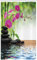 ABAKUHAUS Spa Schmaler Duschvorhang, Bambus-Baum-Orchideen-Steine, Badezimmer Deko Set aus Stoff mit Haken, 120 x 180 cm, Koksgraue Lindgrün