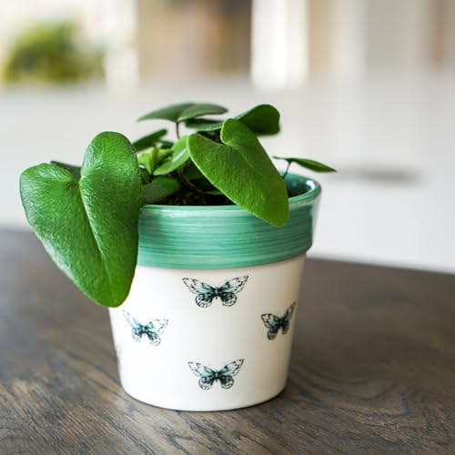 Ivyline Butterfly Cacti Planter - Waterproof, Durable & Decorative - Contemporary Stylish Indoor Ceramic Houseplant Succulent Pot - H13cm x D13cm