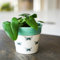 Ivyline Planter, Ceramic, Butterfly, 13 x 13cm