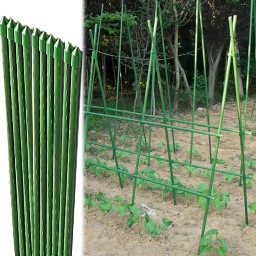 Gurkenspalier 10 Pack Gurken Spalier Stützen Pfähle, 60 75 90 120 150 180 210 240 Cm Höhe Metall-Gartenpfähle für Zucchini Gemüse Blumen Kürbis, Hohe Pflanze Unterstützung Klettern Reben Stände ( Colo