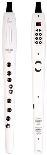 Carry-on Strumento a fiato digitale 2 Plus - 20 voci, batteria ricaricabile USB integrata, uscita cuffie per esercitarsi silenziosamente, registratore digitale Midi Over Bluetooth bianco