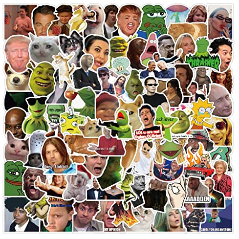 AUCEKO Lustige Meme Vinyl Sticker Pack für Laptop,Vinyl wasserdichte Aufkleber für Skateboard,Wasserflaschen,Computer,Telefon,Gitarre, Phone,100PCS