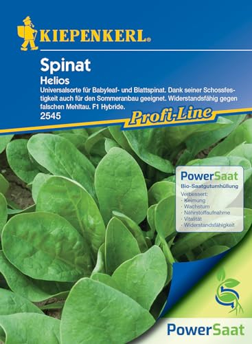 Kiepenkerl Profi-Line Spinatsamen Helios PowerSaat Robuste und Schossfeste Spinatsamen - Saatgut für 225 Pflanzen - Blattspinat Samen - Spinat - mit Resistenzen gegen Falscher Mehltau