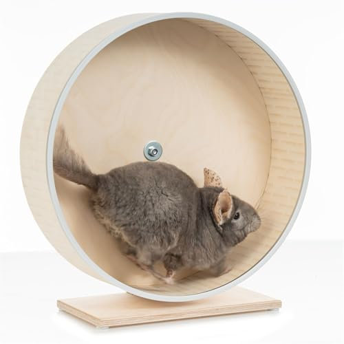 Lautloses Premium-Chinchilla-Laufrad, 41cm, Stabiler Ständer, Antibeißrand, hergestellt in Lettland