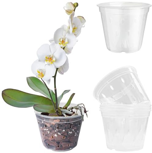 JJQHYC 5 Vasi per Orchidee Trasparenti, Vasi in Plastica con Fori di Drenaggio, Vaso per Orchidee da Interno ed esterni, Vasetti per Piantine di Phalaenopsis (12 cm)