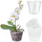 JJQHYC 5 Vasi per Orchidee Trasparenti, Vasi in Plastica con Fori di Drenaggio, Vaso per Orchidee da Interno ed esterni, Vasetti per Piantine di Phalaenopsis (12 cm)
