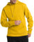 Champion Men's, Powerblend, Fleece Comfortable Hoodie, Sweatshirt (Reg. Or Big & Tall), Team Gold C Logo, Medium