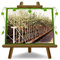 Olivier arbre olives Itrana - Plante fruitière arbre max 160 cm - 3 ans