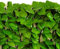Décoration de balcon, clôture artificielle, plante verte, brise-vue (#2)