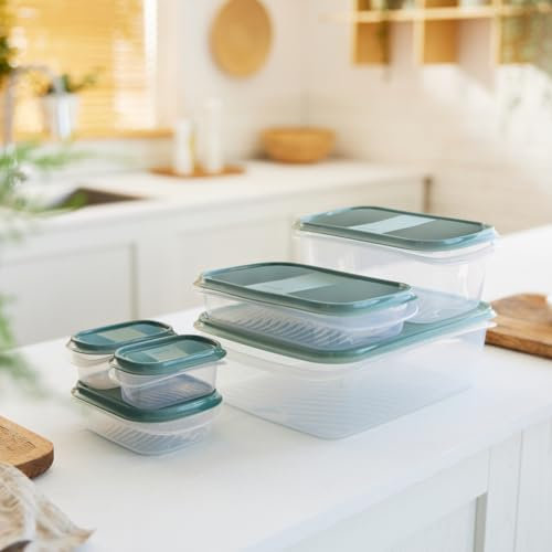 Rotho Elements 6er-Set Frischhaltedosen mit Deckel, verschiedene Größen, Kunststoff