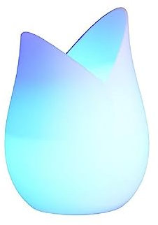 Direct Nature - Fontana Nebbiosa Modello Tulipano