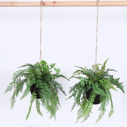 DEDEMCO Lot de 2 plantes à suspendre en forme de fougère de Boston - 70 cm - Plantes artificielles - Fougères de Boston - Lierre à suspendre - Décoration pour la maison et le jardin, Lot de 2 Verts.