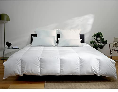 BEFA NATUR Made in Germany Daunendecke 200x200 cm aus 90% Gänsedaune und 10% Federn, Winterdecke, Allergiker geeignet, Öko-Tex 100 Klasse 1 Zertifiziert, Downpass