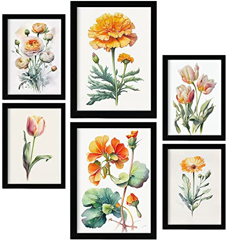 Nacnic Orangefarbene Blumen Postern. Vollfarbige Natur- und Botanikdrucke mit Blumenmotiven auf reinweißen Hintergründen. Innenarchitektur und Dekoration. A4 & A3.