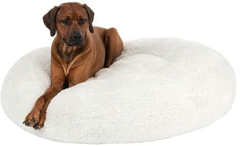 ZOOPLUS Original Hundebett Flocke | mit viscoelastischen Flocken | sehr weich und gemütlich | Nestchen für Hunde | waschbar mit Reißverschluss | Farbe: weiß (Durchmesser: 90cm x Höhe: 20cm)