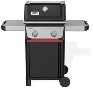 WEBER Barbecue à gaz Spirit E-210