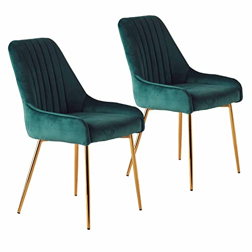 Sepnine Esszimmerstühle 2er Set, Essstuhl, Polsterstuhl mit goldenen Metallbeinen, Samt Küchenstuhl, komfortabler Esszimmermöbel, ergonomische Dining Chairs