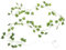 Ciieeo Künstliche Hängende Pflanzenlichterkette Creeper Leaf Lampe Hochzeitslicht Dekoration